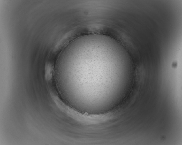 X0000112490038200908241336