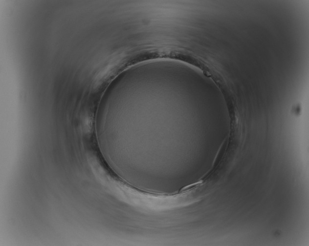 X0000112490039200908241336