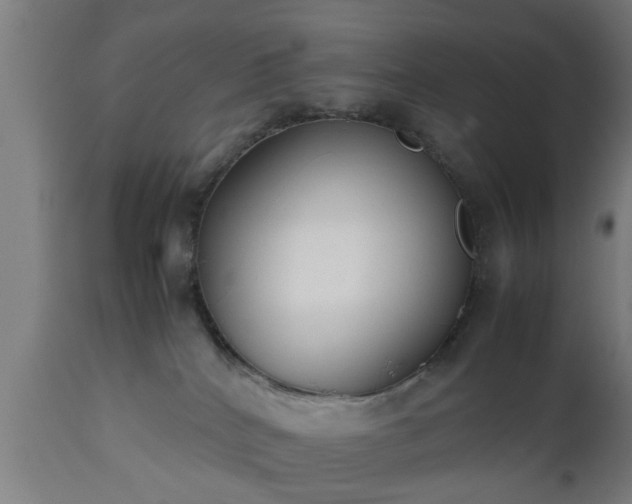 X0000112490040200908241336