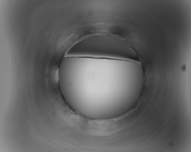 X0000112490041200908241336