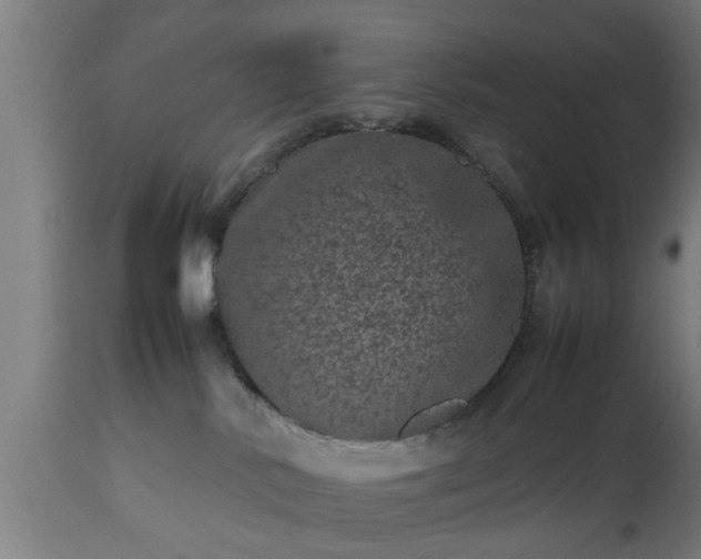 X0000112490042200908241336