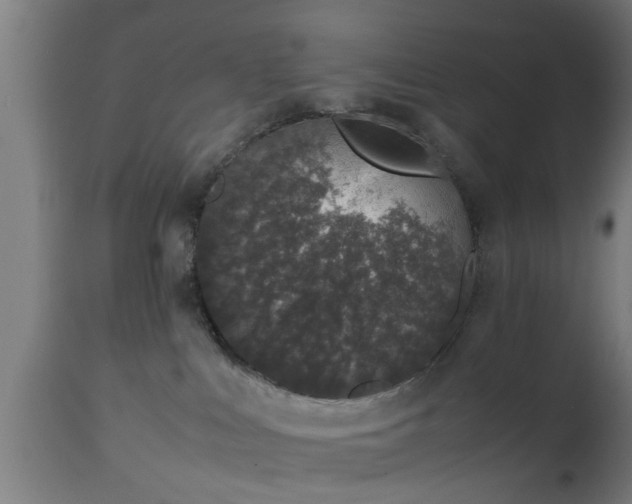 X0000112490043200908241336