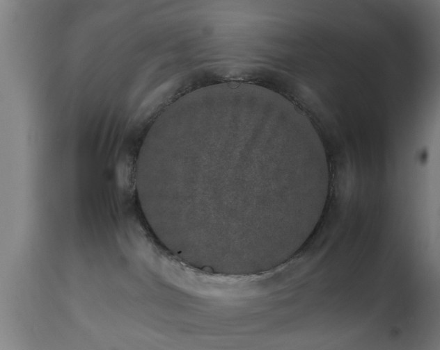 X0000112490044200908241336