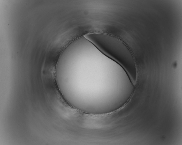 X0000112490045200908241336