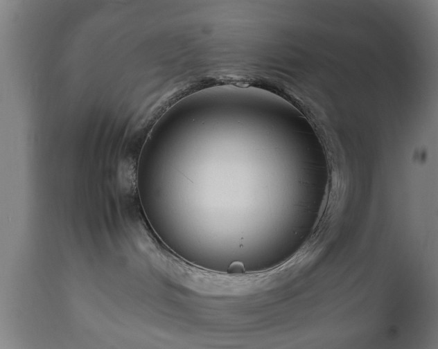 X0000112490048200908241336