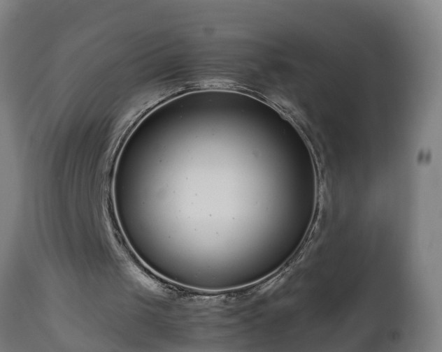 X0000112490049200908241335