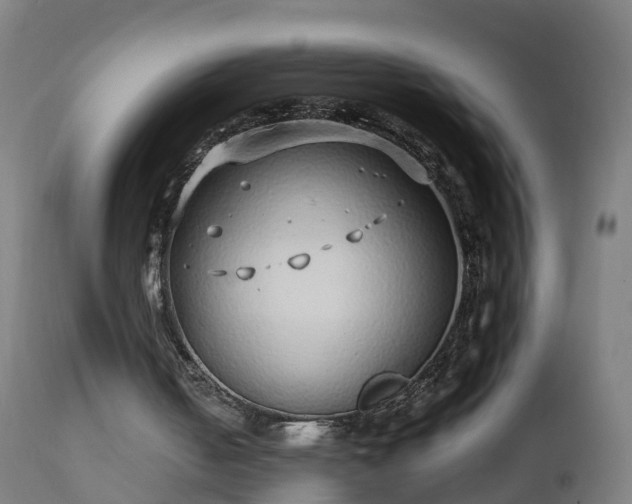 X0000112490050200908241335