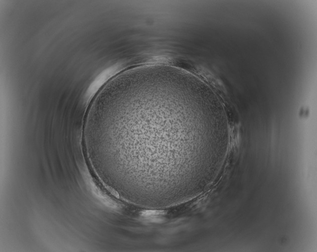 X0000112490051200908241335