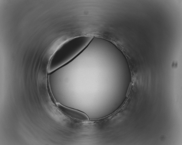 X0000112490052200908241335