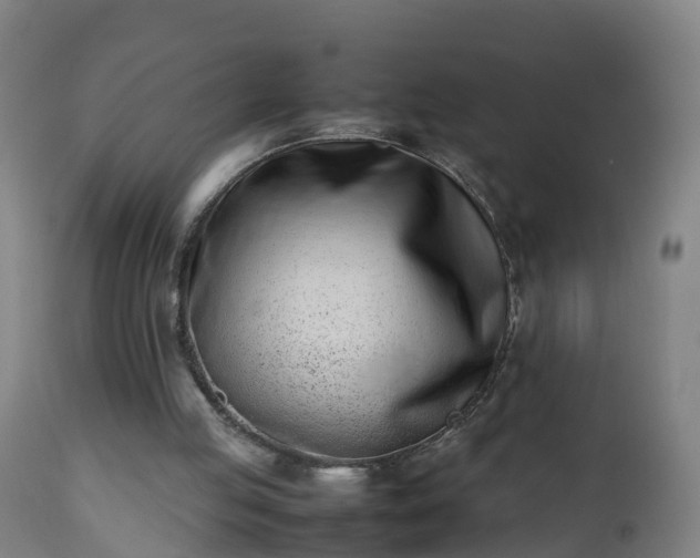 X0000112490053200908241335