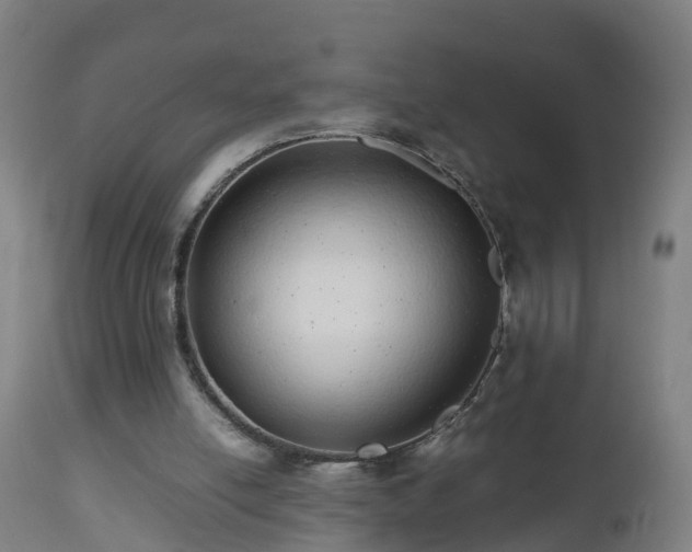 X0000112490054200908241335