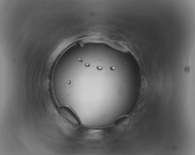 X0000112490055200908241335