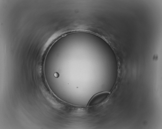 X0000112490056200908241335