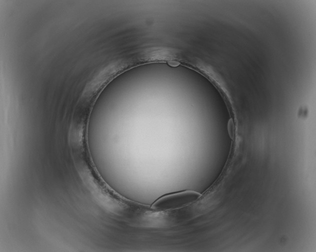 X0000112490057200908241335