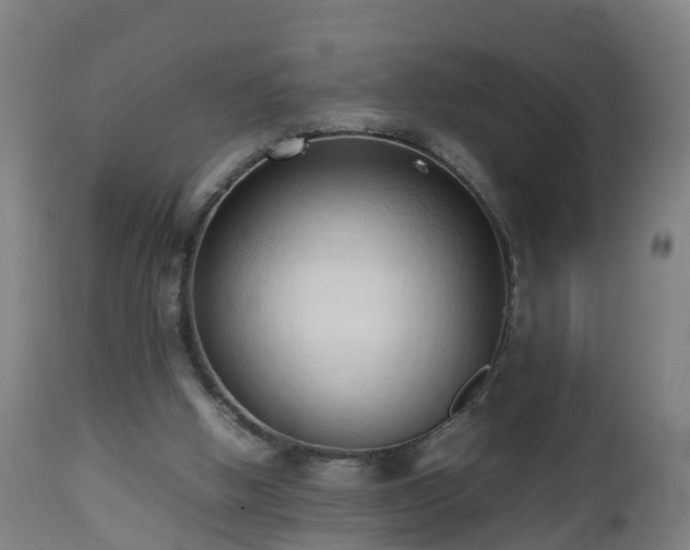 X0000112490058200908241335