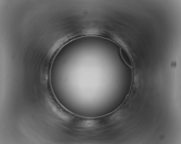 X0000112490059200908241335