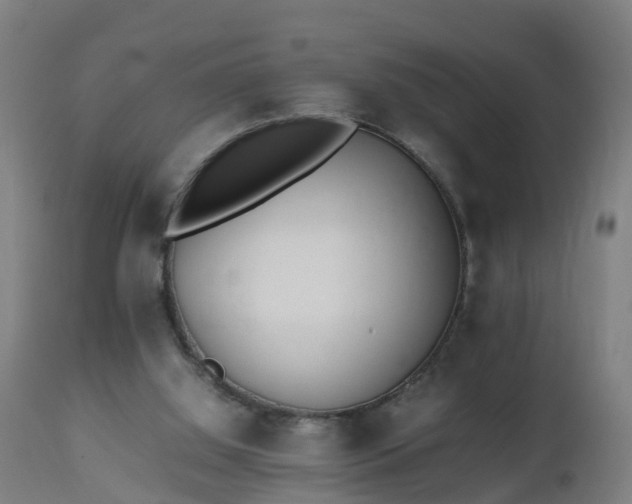 X0000112490060200908241335