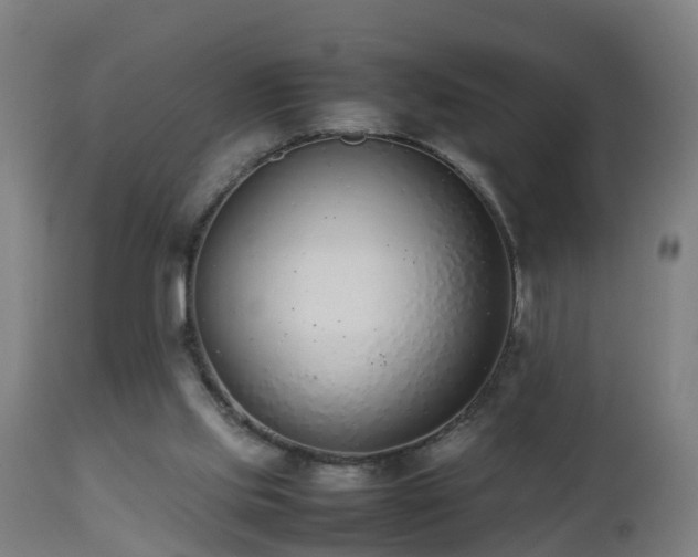 X0000112490061200908241335