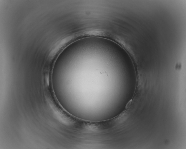 X0000112490062200908241335