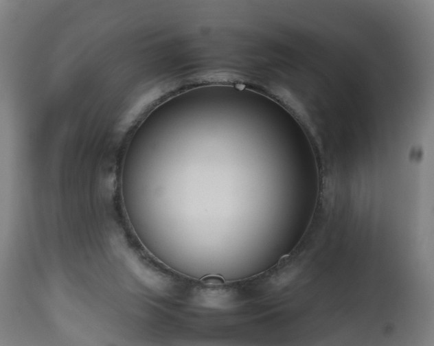 X0000112490063200908241335