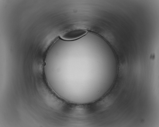 X0000112490064200908241335