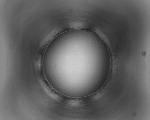 X0000112490065200908241335