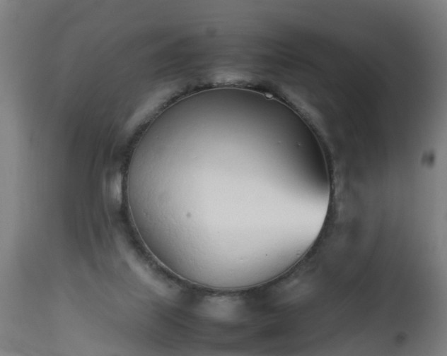 X0000112490067200908241335