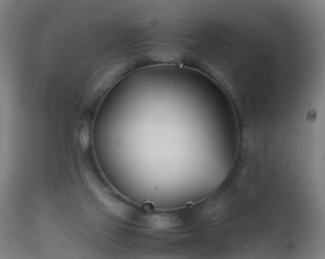 X0000112490069200908241335