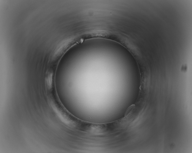 X0000112490070200908241335