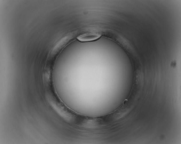 X0000112490072200908241335