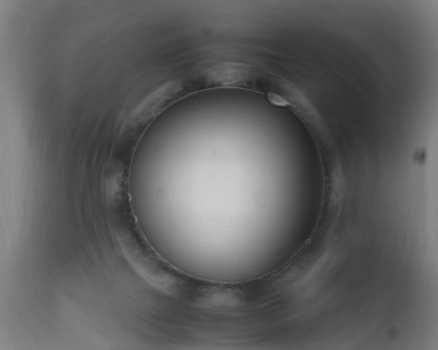 X0000112490073200908241335