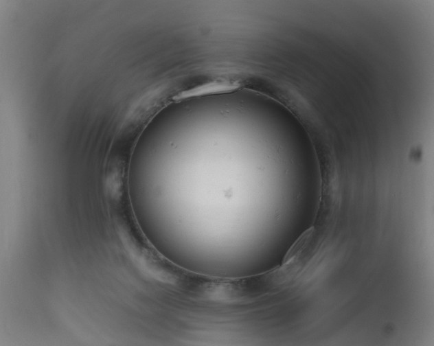 X0000112490074200908241335