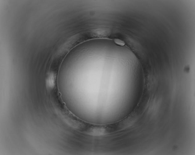 X0000112490075200908241335