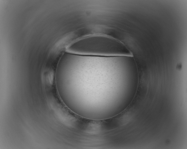 X0000112490076200908241335