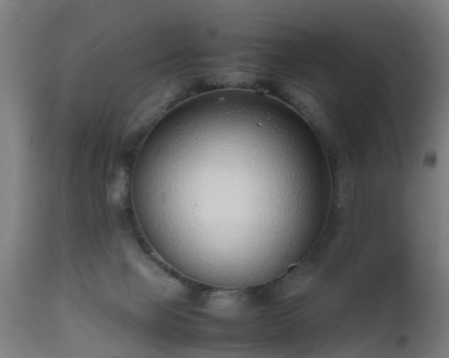 X0000112490077200908241335