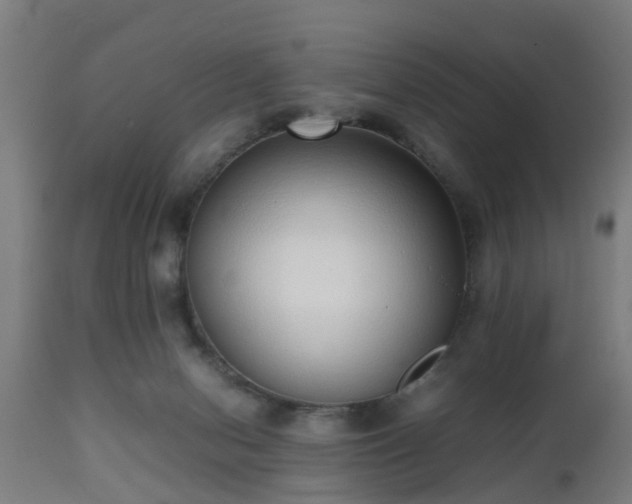 X0000112490078200908241336