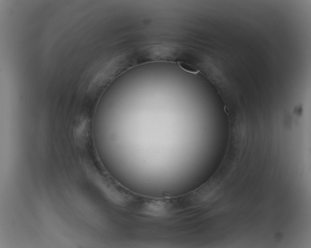 X0000112490079200908241336