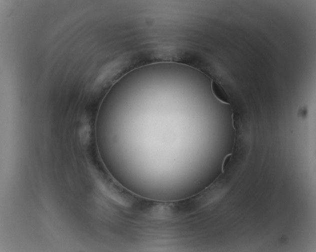 X0000112490080200908241336