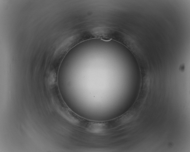 X0000112490081200908241336