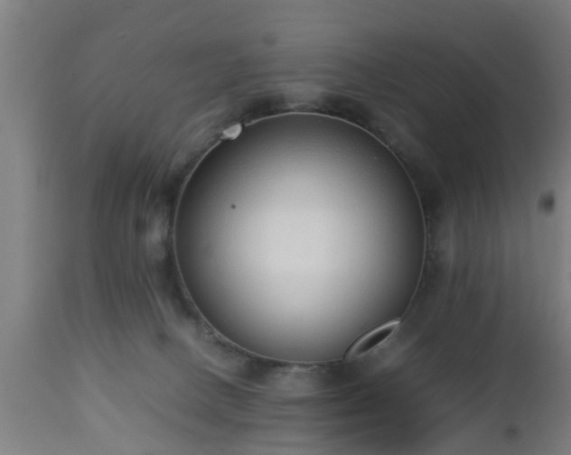 X0000112490082200908241336