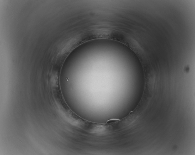 X0000112490083200908241336