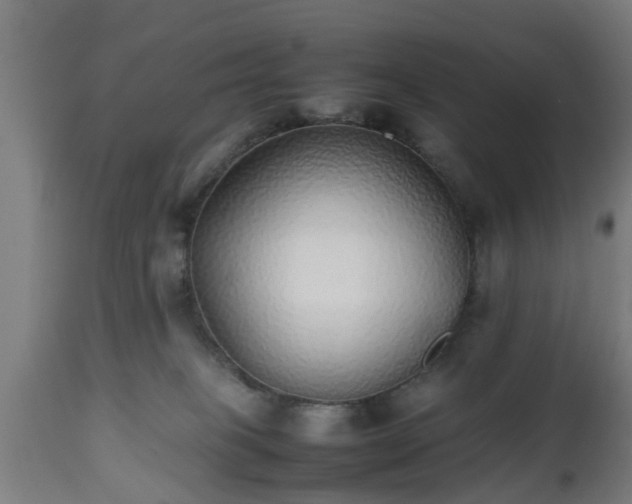 X0000112490085200908241336