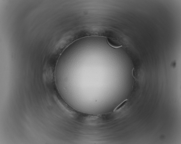 X0000112490086200908241336