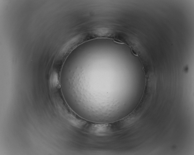 X0000112490089200908241336