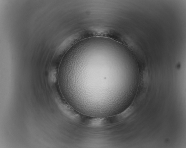 X0000112490090200908241336