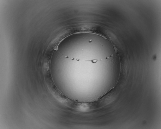 X0000112490091200908241336