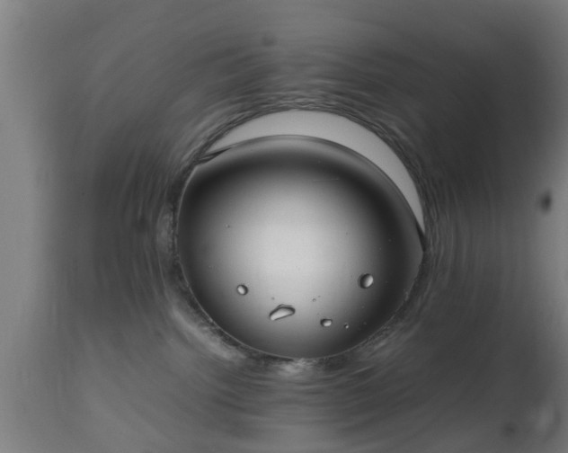 X0000112490092200908241336