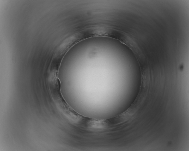 X0000112490093200908241336