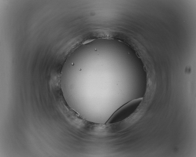 X0000112490096200908241336