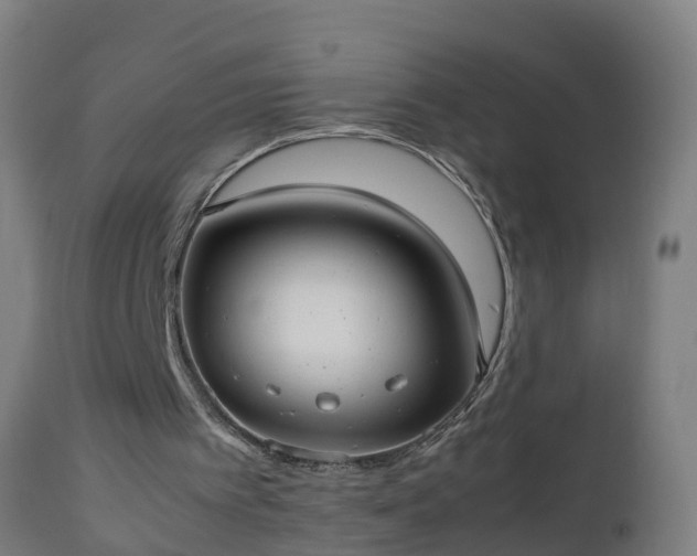 X0000112490097200908241335